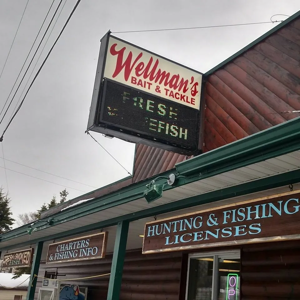 Wellman's Party & Bait Store logo